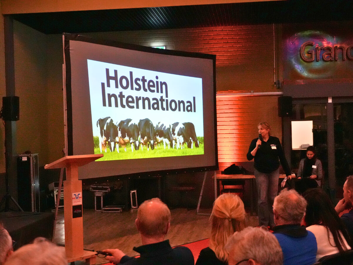 Dertiende editie Molkeborrel in Leeuwarden