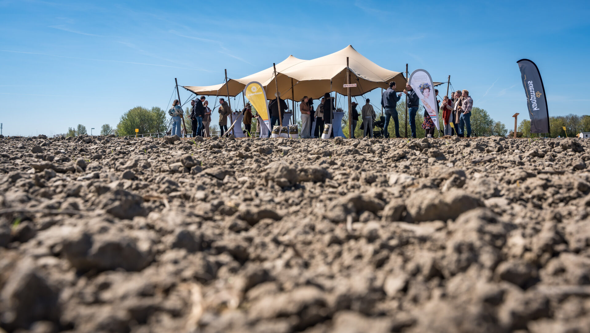 Middelsee Royal Koopmans Nedertarwe