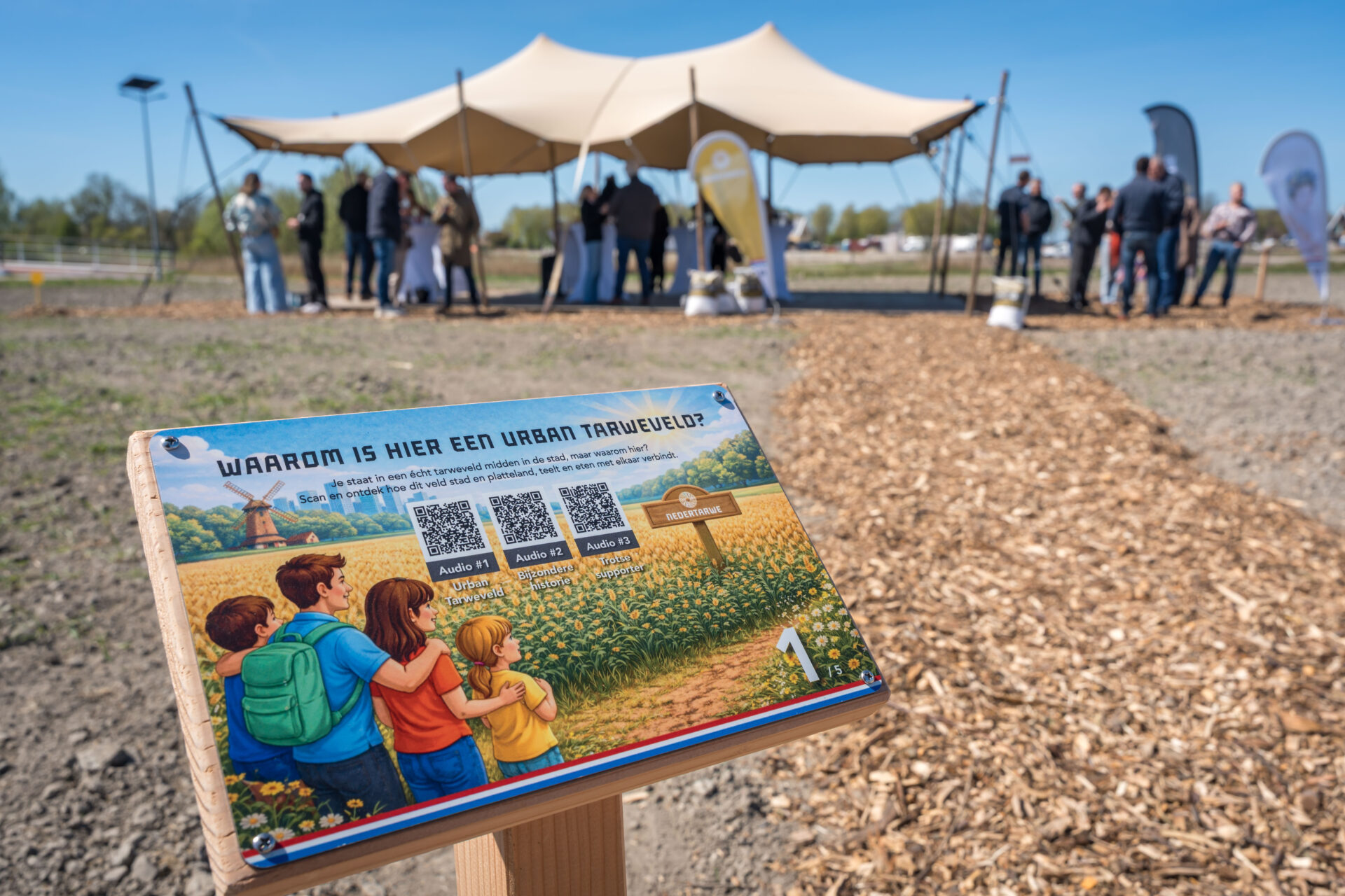 Eerste Urban Tarweveld van Nederland officieel geopend in Leeuwarden